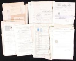 cca 1912-1930 50 darabos okmány hagyaték főleg Nagyvárad és Resicabányáról. Benne vöröskeresztes iratok, állampolgársági bizonyítványok