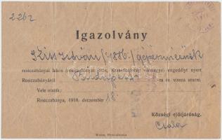 1918 december 18. Utazási engedély Resicabánya - Budapest szerb bélyegzésekkel / Travel authorisation with Serbian seals