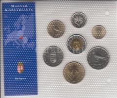 1994-2004. 1-100Ft "Az utolsó forint forgalmi pénzek" laminált kiadásban T:1