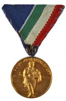 1956. "Dunai Árvízvédelemért Emlékérem" aranyozott Br kitüntetés szalaggal T:2