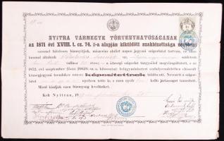 1879 Községjegyzői oklevél