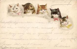 1898 Cats litho (EK)