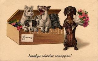 Dogs, name day, litho (EK)