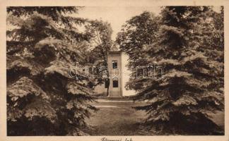 Törökbálint Ferenc József Kereskedelmi Kórház tüdőbeteg szanatóriuma, főorvosi lak