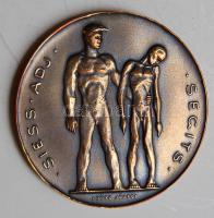 1947. "SAS" bronz plakett T:3 ph