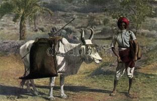 Water Bullock, Indian folklore