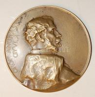 1906. "Gróf Andrássy Gyula" nagyalakú bronz plakett Szign:Teles T:2