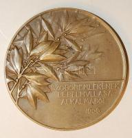 1906. "Gróf Andrássy Gyula" nagyalakú bronz plakett Szign:Teles T:2