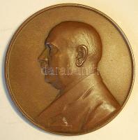 1935. "Hóman Bálint" nagyalakú bronz plakett Szign:Zs.Csiszér János T:2+