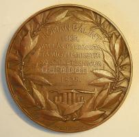 1935. "Hóman Bálint" nagyalakú bronz plakett Szign:Zs.Csiszér János T:2+