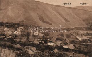 Tokaj-Hegyalja (EB)