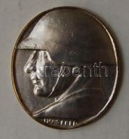 Svájc 1918. Katonai ezüstözött fém ovális plakett T:2 Szign:Hans Frei
