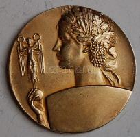 Ausztria 1937. "Osztrák-magyar kézilabda" aranyozott bronz plakett, Szign:Weinberger T:2 pici ph.