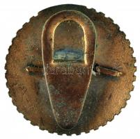 1918. "Hadirokkantak, Özvegyek és Árvák Országos Szövetsége 1914-1918" zománcozott Br gomb...