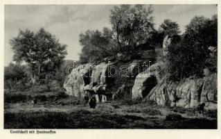 Cercopithecinae, german colony