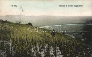 Tokaj, szőlőhegy (fl)