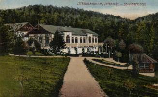 Stájerlakanina, villa