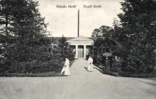 Buziásfürdő, acélfürdő / spa