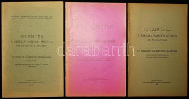 1904-1910 Jelentés a Székely Nemzeti Múzeum állapotáról (1903, 1907, 1908-1909). Sepsiszentgyörgy. 3db füzet