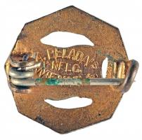 Ausztria DN "Danubia Sport Klub XIX Bécs" német nyelvű felirattal zománcozott jelvény T:2-...