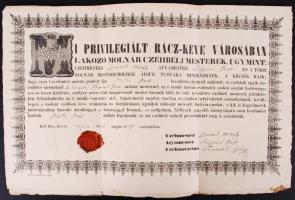1855 Ráckevei lakkozó molnár céh kézzel írt mesterlevele / 42x28 cm