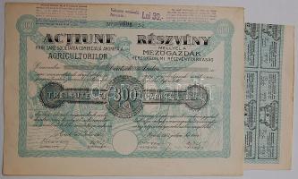 1923. Arad - Mezőgazdák Kereskedelmi Részvénytársaság 300Lei