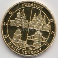 2011. "Budapest Sziget Fesztivál" aranyozott emlékérem (32mm) T:PP