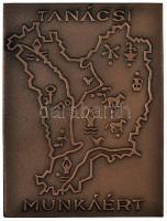 ~1980. "Tanácsi Munkáért" Br emlékplakett + "Tanácsi Munkáért Szolnok M. 10 év" ...