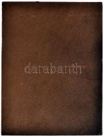 ~1980. "Tanácsi Munkáért" Br emlékplakett + "Tanácsi Munkáért Szolnok M. 10 év" ...