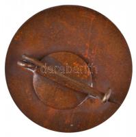 ~1980. "Tanácsi Munkáért" Br emlékplakett + "Tanácsi Munkáért Szolnok M. 10 év" ...