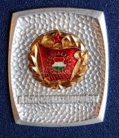 "A szocializmusért" plakett ezüst és arany fokozata (2db) T:1