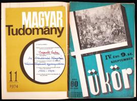 1933 Szendy Károly-Balla Antal-Kelényi B. Ottó, Tóth László-Palotay Gertrud-Cs. Szabó László: Budavár visszafoglalása in Tükör IV. teljes évf. 9. sz. + 1964-1973 Magyar Tudomány 11. sz. töredéke