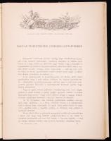 1891 Szendrei János: Magyar viseletképek címeres leveleinkben in Archaeologiai Értesítő 46 oldalas töredéke