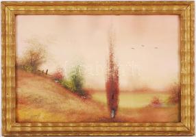 Szepessy jelzéssel: 2 db tájkép, gouache, karton, üvegezett keretben, 20×30 cm (2×)