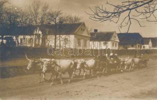 Szepetnek ökrös szekerek, photo