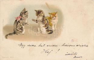 Cats litho