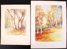 6 db Csongor jelzésű tájkép főleg akvarell technikával