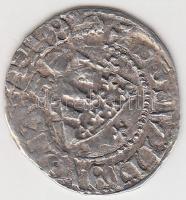 1358-1371. Denár Ag "I. Nagy Lajos" (0.54g) T:3
Huszár 542.,Unger I.: 429