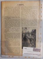 Az újonnanmegalakult Daányi Komány tagjai sz "Uj Idők" 1936 okt. 25-i száma