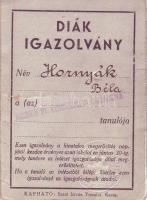 1956-os mosonmagyaróvári sortűzben agyonlőtt helyi lakos iskolai arcképes bizonyítványa