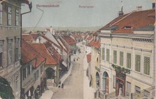 Nagyszeben Castle street (b)