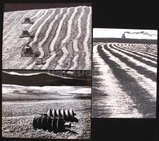 1970-1980 Gebhardt György (1910-1993) 3db vintage fotóművészeti alkotása mezőgazdasági motívumokról. Két kép aláírva, de a harmadik is garantáltan a fotós hagyatékából származik, 18x24cm