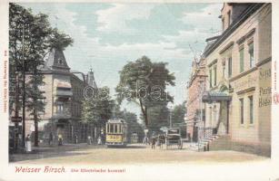 Dresden Weisser Hirsch, tram (EK)