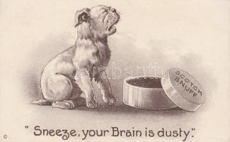 Scotch Snuff advertisement, dog, humour