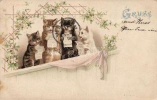 1898 Singing cats, litho (EK)