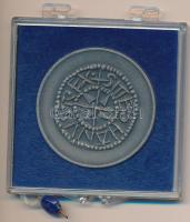 1982. "Szent István denár / Ungarn in Hamburg" fém emlékérem plombált ÁPV tokban T:1