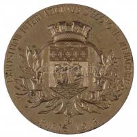 Franciaország 1913. "Nemzetközi Háztartástani Kiállítás" aranyozott Br emlékérem (60mm/96....