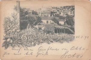 1898 Veli Losinj, Lussingrande, floral (EB)