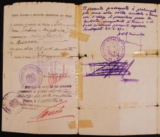 1920 Fiumében kiállított olasz nyelvű útlevél / 
Italian passport issued in Fiume