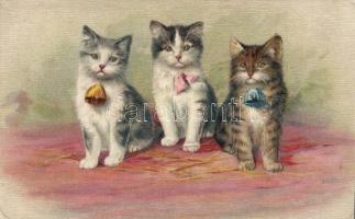 Cats litho (Rb)